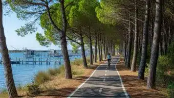 Pista ciclabile dell'Anello di Rosolina tra pinete e lagune