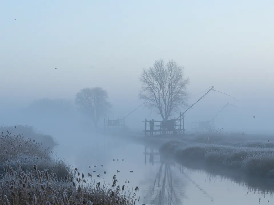 Paesaggio invernale nebbioso del Delta del Po con silhouette di alberi e canali ghiacciati