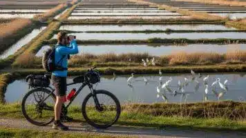 Ciclista che percorre l'Itinerario delle Valli con vista sulle zone umide e uccelli acquatici