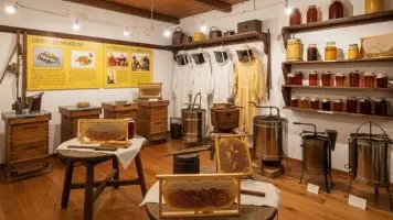 Esposizione al Museo del Miele con antichi strumenti per l'apicoltura