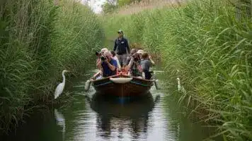 Piccola imbarcazione che naviga nei canali stretti del Delta del Po tra canneti e vegetazione rigogliosa