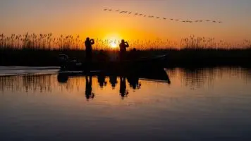Escursione al tramonto nel Delta del Po con silhouette di canneti e colori caldi