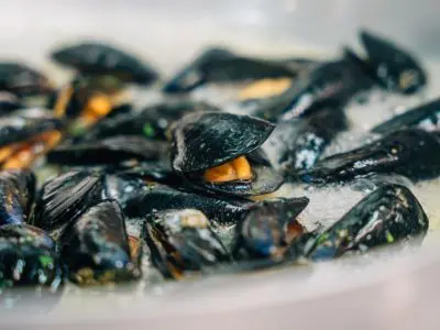 Cozza DOP di Scardovari, specialità del Delta del Po