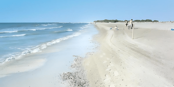 Spiaggia Barricata, raggiungibile via terra e traghetto per un'autentica esperienza Delta