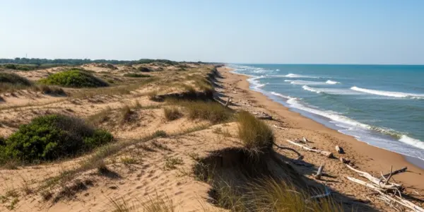 Spiaggia di Boccasette, la spiaggia più vicina al Delta del Po, selvaggia e autentica con dune naturali
