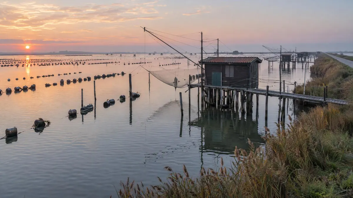 The cavane on stilts in the Sacca degli Scardovari, among the rows of mussels at dawn