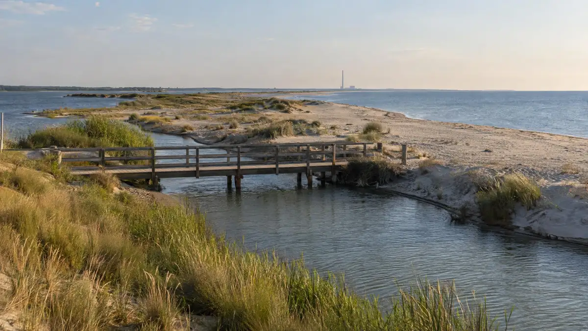 A sandy scanno at the mouth of a branch of the Po, with a wooden walkway over a canal